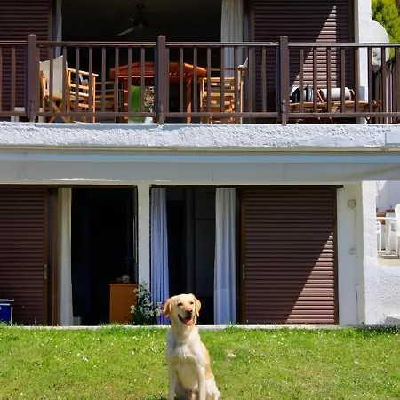 Carolina House By Halu! Holiday home